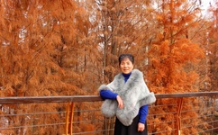 日韩1卡2卡三卡4卡网站